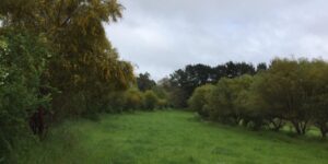 Swales at Merri Bee Organic Farmacy