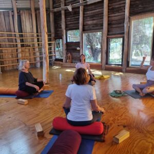 Four women sit on yoga mats with cushions in a circle inside a wooden cabin, with sunlight coming through large windows. One woman gestures with her arm whilst the others sit cross-legged, appearing to listen. - Fair Harvest Permaculture