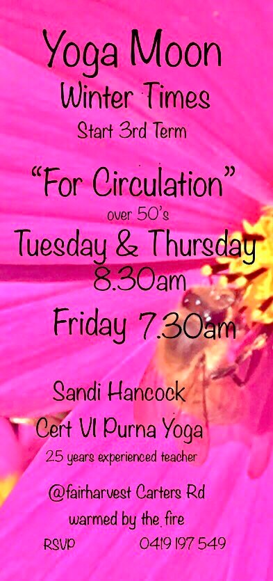 Tuesday Morning yoga with Sandi 8am-9.30am - Image 11