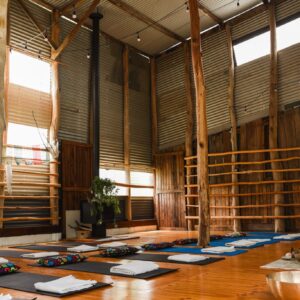 Yoga Tuesday Morning 8am-9.30am