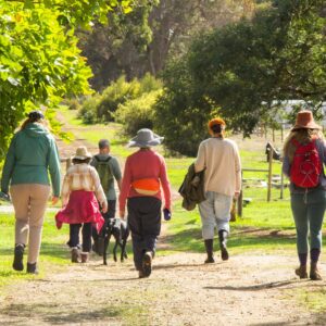 Mindful Walking Weekend 1st & 2nd November 2025