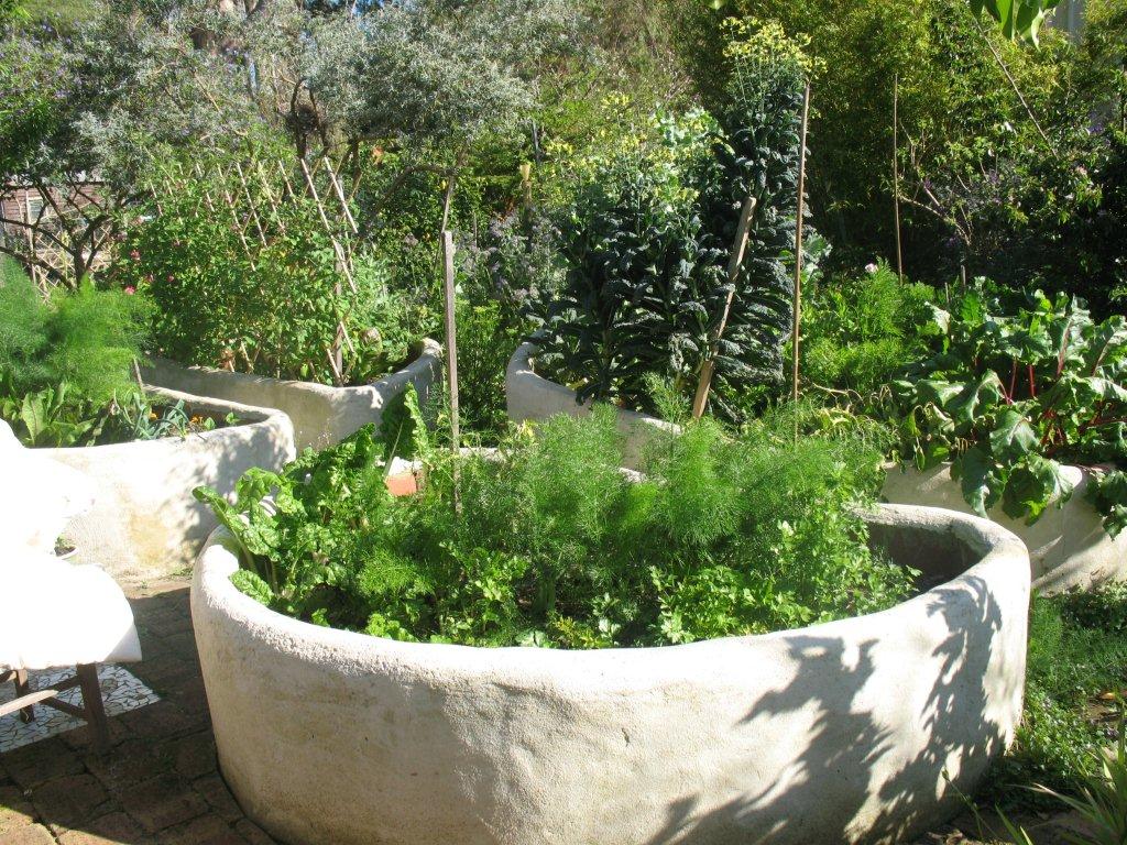 Edible Gardens