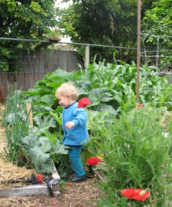 in Cynda's garden
