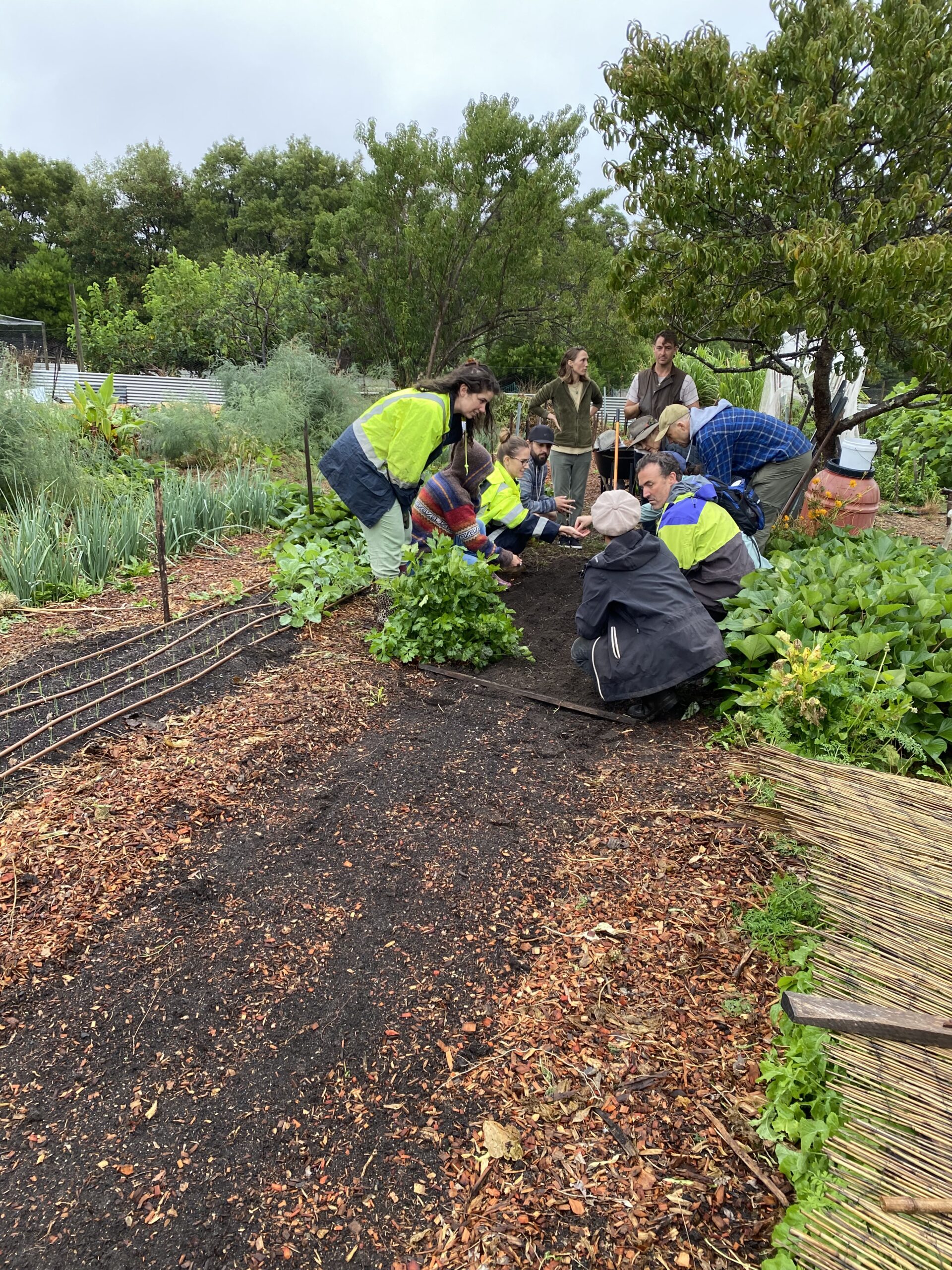 Gardening Workshops for Beginners -  5th October 2025 - Image 7
