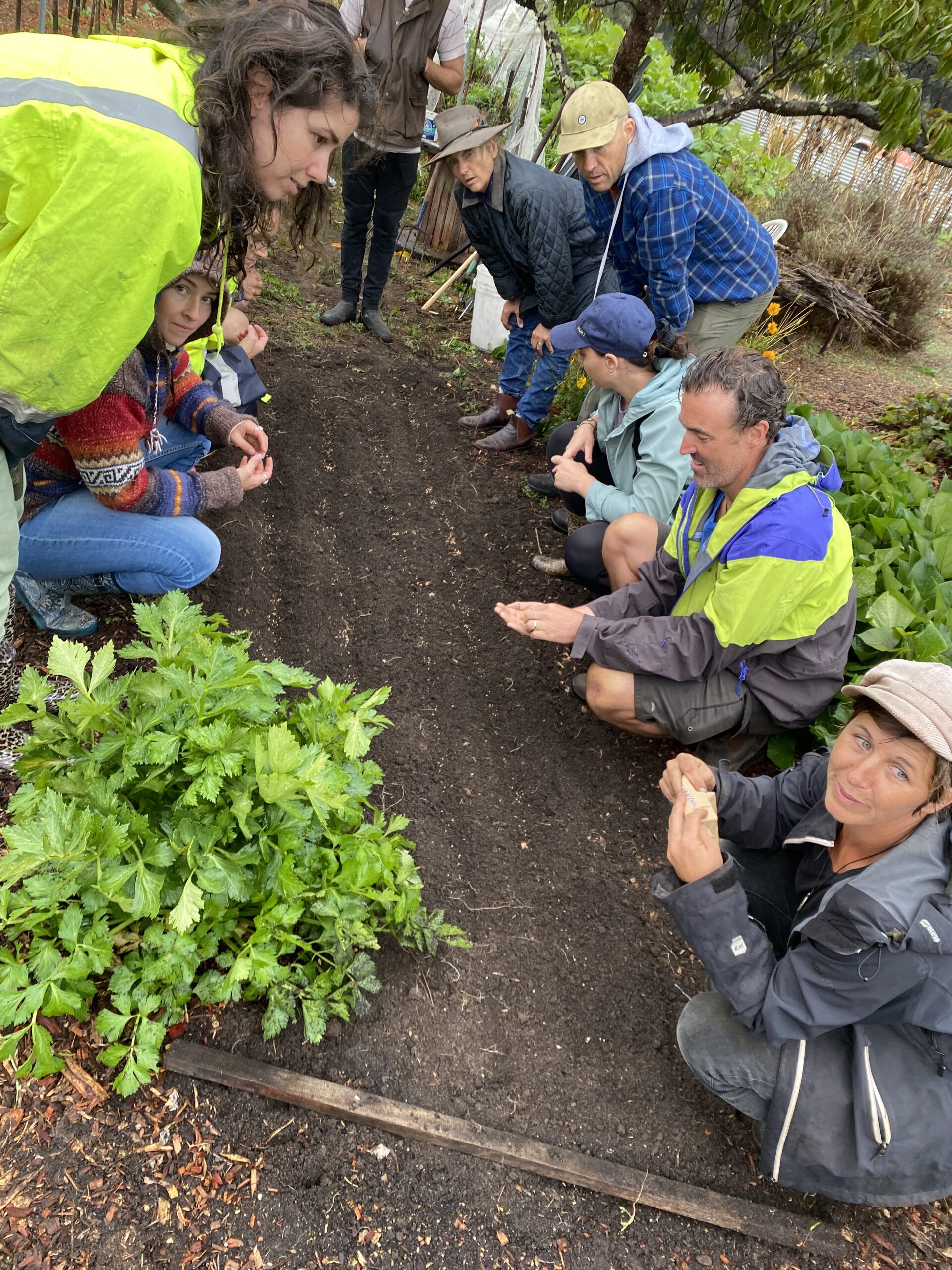 Gardening Workshops for Beginners -  5th October 2025 - Image 8