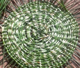 Start of a Twined Basket by Cynamon