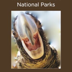 Geology of Western Australia's National Parks book cover featuring Australian bird close-up by Peter Lane