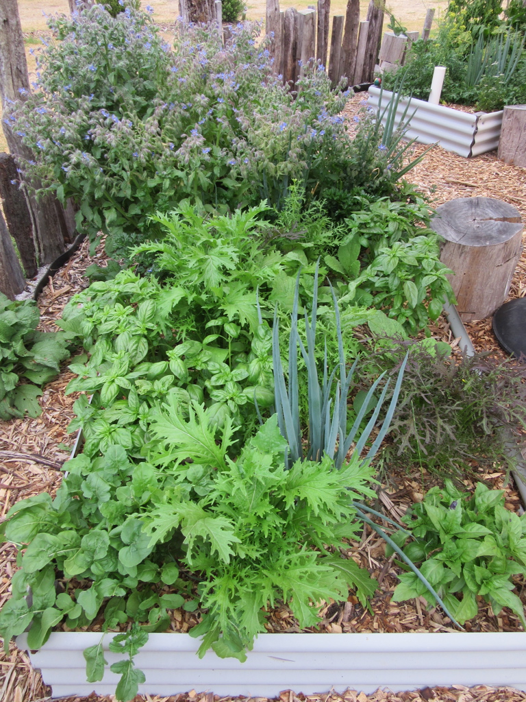 Gardening Workshops for Beginners -  5th October 2025 - Image 10
