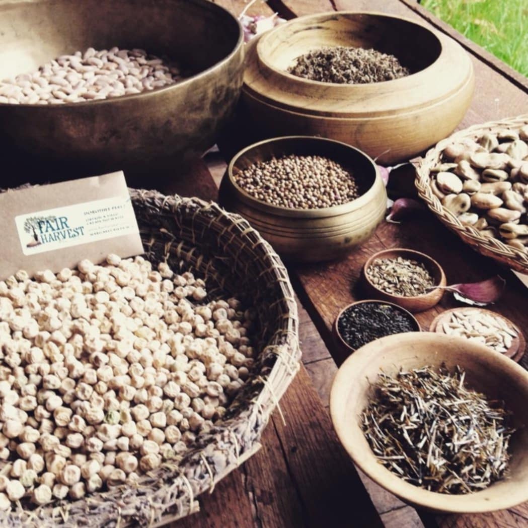 Gardening Workshops for Beginners -  5th October 2025 - Image 4