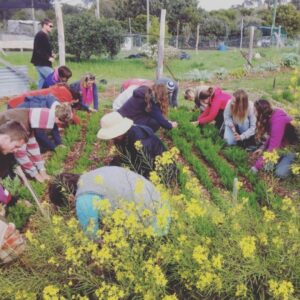Gardening Workshops for Beginners - 9th November 2025