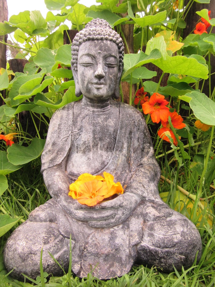 Tuesday Morning yoga with Sandi 8am-9.30am - Image 6