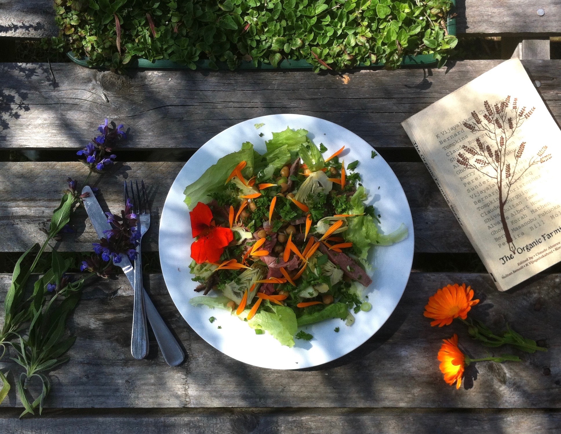 Fair Harvest cooking class with Jodie (private group bookings) - Image 4