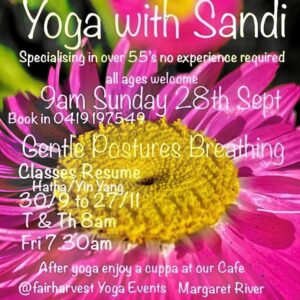 Yoga classes for over 55s, Margaret River.