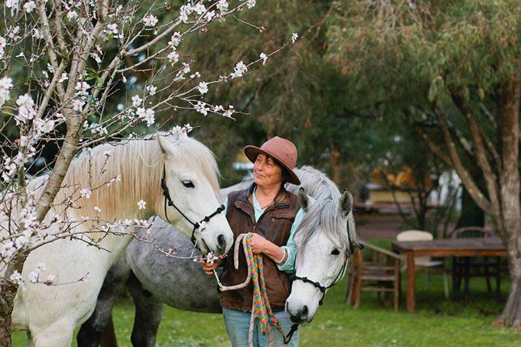 Woman with two horses near blossoming tree.