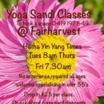 Yoga classes schedule and contact information.