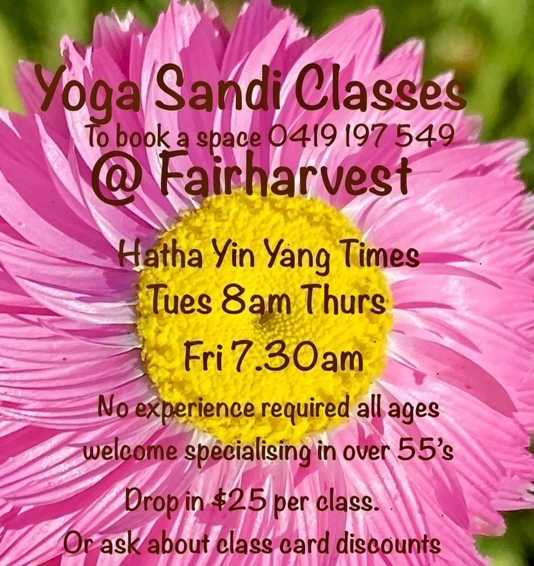 Yoga classes schedule and contact information.