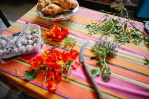 Colourful table with croissants, flowers, herbs, and hook.