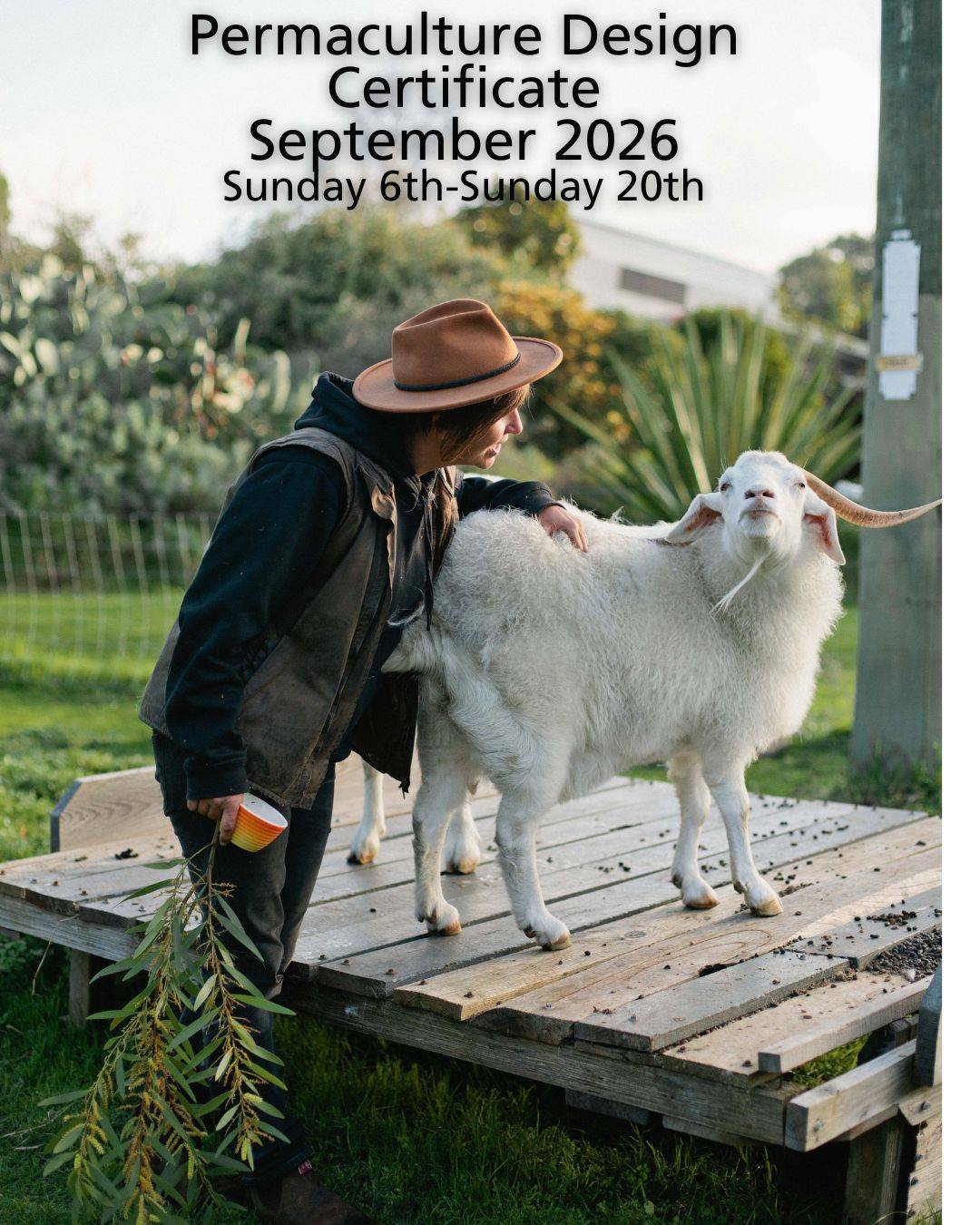 Permaculture Design Certificate   Sunday 6th September – Sunday 20th September2026