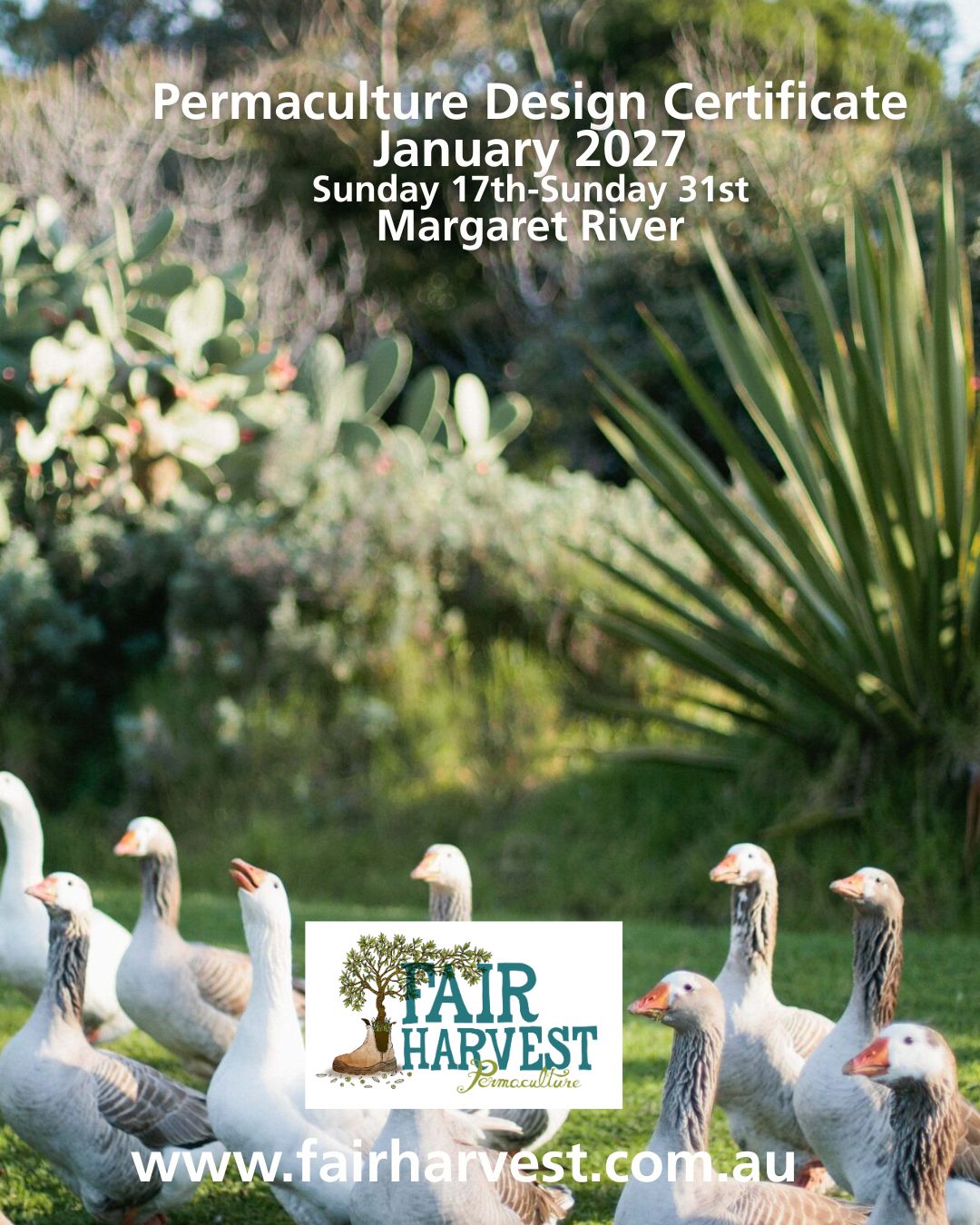 Permaculture Design Certificate  Sunday 17th January -Sunday 31st January 2027