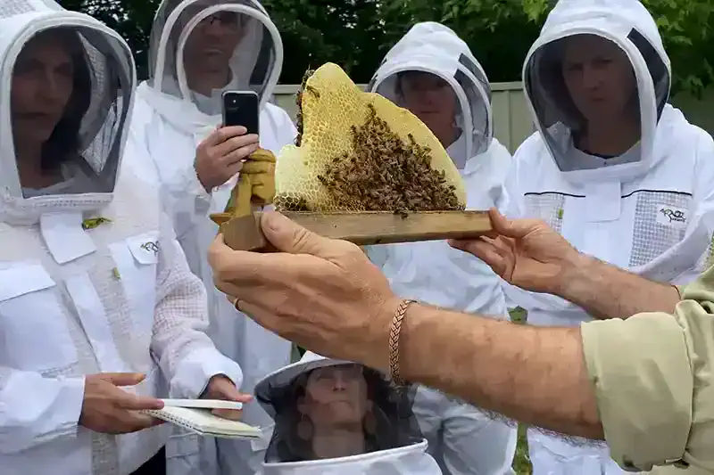 Natural Beekeeping 7th & 8th November 2026