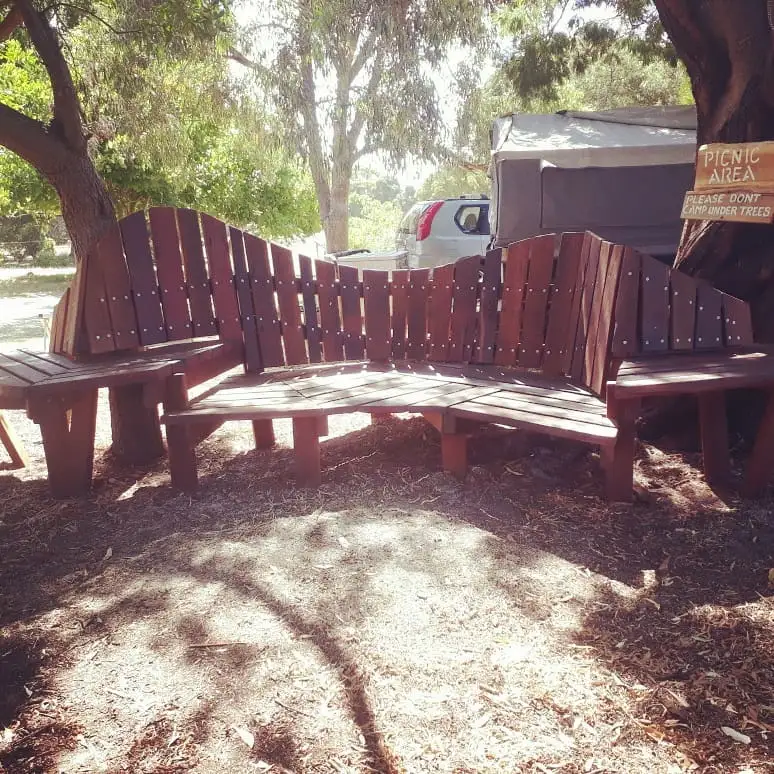 Curved wooden park bench under trees in a picnic area.