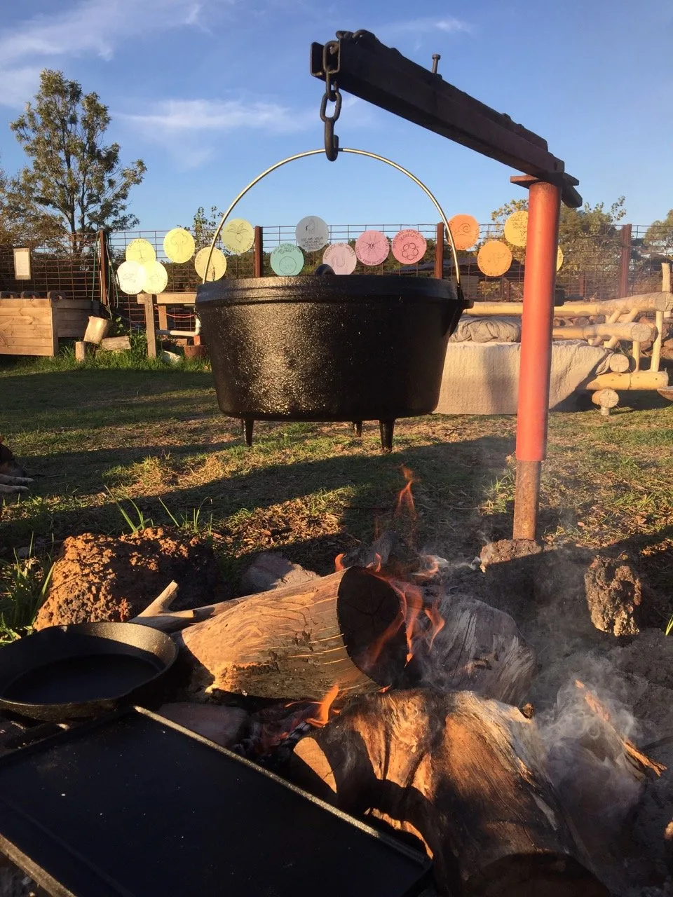 Outdoor campfire cooking with pot and logs.