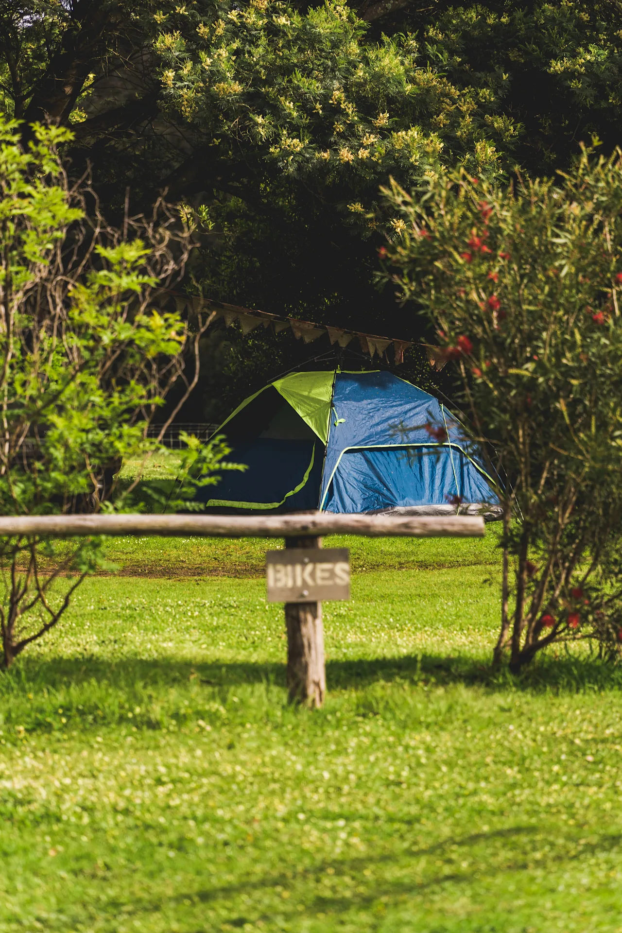 Tent in leafy campsite with 'Bikes' sign.