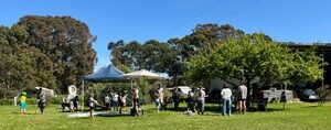 Outdoor gathering under trees and umbrellas.